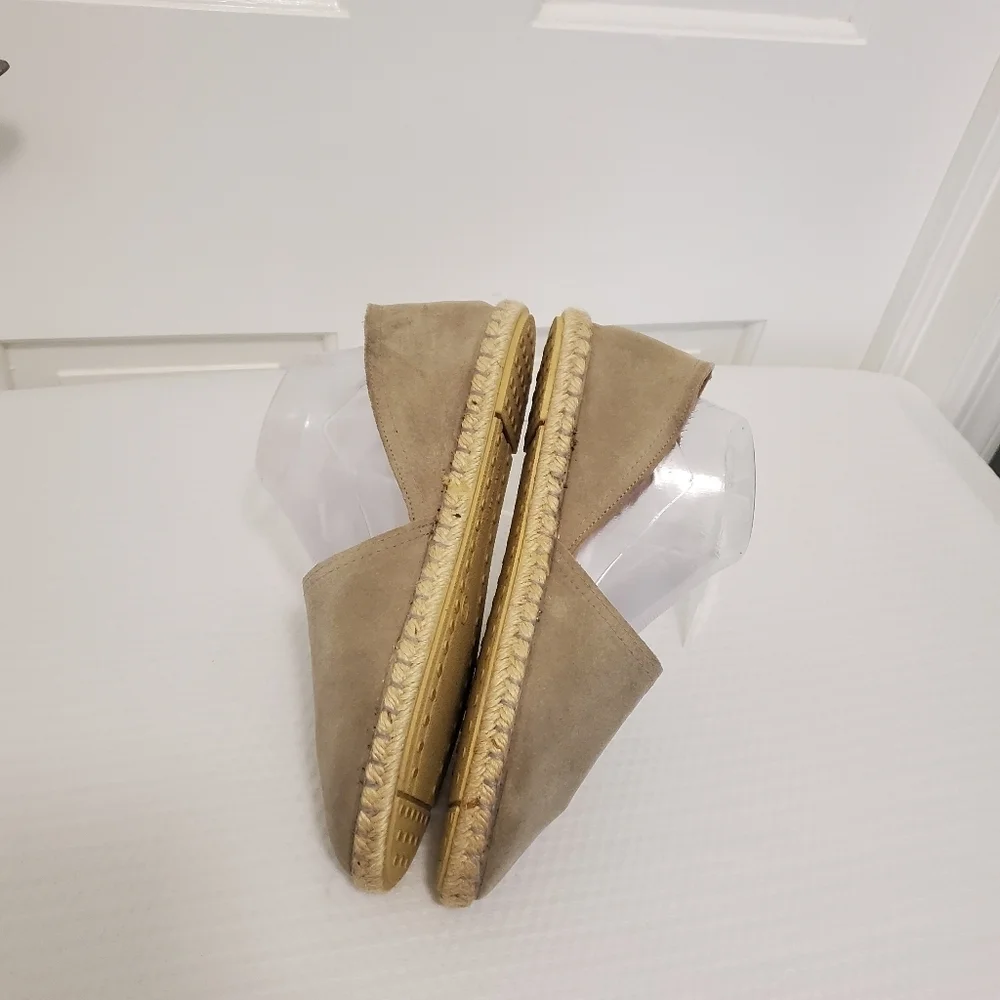Verbenas lining any design